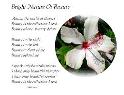 Amber On Line Beauty Only For Earth Day By Amber Silverstar Native American Poems Nature Nature Beauty
