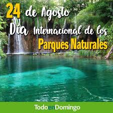 El 17 de agosto, fecha en que cumpíamos el año de la. Todo En Domingo Twitterren Mktted Cada 24 De Agosto Se Celebra El Dia Internacional De Los Parques Naturales Segun El Calendario Ecologico Tiene Como Fin El Hacer Que Las Poblaciones Tomen Conciencia