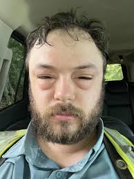 Walking through a cornfield like it's a movie scene 🌽🎬 Would you walk  through here alone?