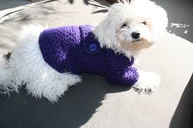 Per cui mi sono attivata, scoprendo così. Bubadog Maglioncino Cane Purpureo Fatto A Mano Cappottino Per Cani Su Misshobby
