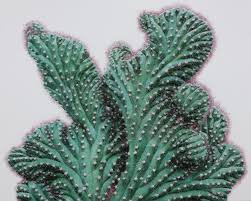 I lost one of the three pots, where my seedlings died. Hyperrealistic Cactus Paintings That Bristle With Detail By Lee Kwang Ho Cactus Paintings Cactus Painting Colorful Oil Painting