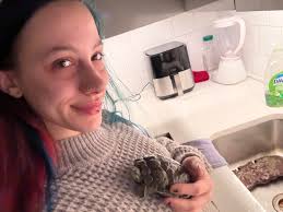 Est-ce que ma tortue 🐢 est une juvénile ou une adulte ??? : r/turtle