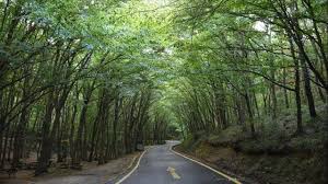 İstanbulda Ormanlara Giriş Yasaklandı! - 2024 | Kamp Rehberi