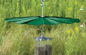 Bird Feeder Rain Guard Duncraft Com Extra Large Hanging Baffle Squirrel Baffle Bird Feeder Baffle Bird Feeders