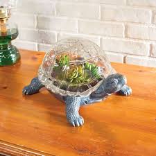 Turtle Terrarium Turtle Terrarium Terrarium Small Terrarium