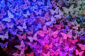 Muriva ltd muriva amilia floral flowers metallic butterflies wallpaper embossed vinyl foiled 10m roll duck egg blue 701412 4.5 out of 5 stars 15. 2560x1700 Butterfly Background Chromebook Pixel Hd 4k Wallpapers Images Backgrounds Photos And Pictures