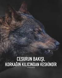 Dini Guzel Sozler 2020 Guzel Soz Havacilik Sozleri Motivasyon