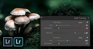 Night shyamalan and starring james mcavoy. What Is Split Toning And How To Use It In Lightroom Northlandscapes