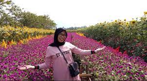 Kalau dibandingkan dengan hari biasa memang ada peningkatan, dari kemarin jumat kita mencatat sekitar 6 ribu dan hari ini 11 ribu, ucapnya. Taman Bunga Bpi Destinasi Wisata Kekinian Satubanten Com