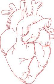 11 Human Heart Drawing Ideas Heart Drawing Anatomical Heart Anatomy Art