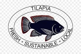 Maybe you would like to learn more about one of these? Fish Cartoon