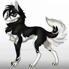 Anime Black And White Wolf With Wings Yin Yang Wolf Zeichnungen Niedliche Tierzeichnungen Coole Cartoons