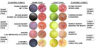 basic fig flavors pulp skin colors mountain figs