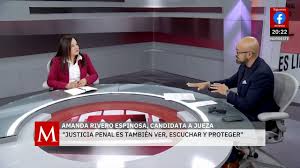 Image result for Justicia amanda