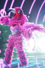 She just cleared the air on the real. Who Is The Flamingo On The Masked Singer The Flamingo Revealed Spoilers Clues And Guesses