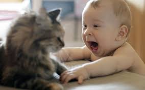 Il est facile à enfiler et à enlever. Photo 3d Hd Ø£Ø¬Ù…Ù„ ØµÙˆØ± Ù„Ù‚Ø·Ø· Ù…Ø¹ Ø§Ø·ÙØ§Ù„ Funny Baby Pictures Funny Animal Videos Funny Babies