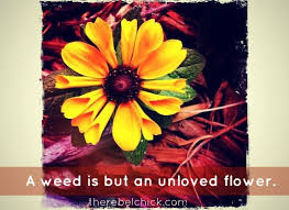 Pinterest Flower Quotes Images Flower Quote Inspiration Quotes Pinterest Flower Quotes Hipster Quote Green Quotes