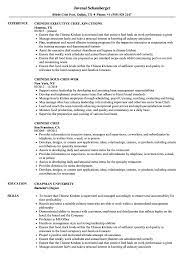 Cutlery placement in your chef resume objective can also be effective in getting employers' attention. Chinese Chef Resume Samples Velvet Jobs