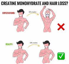 Can most definitely play a role in those at risk to male pattern baldness i explain that it is documented does creatine cause hair loss that dht is a significant source of hair loss. Creatine Hair Loss