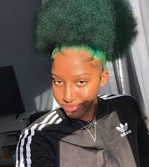 I Wanna Dye My Hair So Bad Who Has Experience With It What Dye Did You Use Dyed Natural Hair Natural Hair Styles Beautiful Hair Color