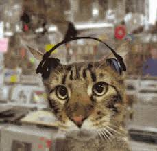 Funny sticker of cute animal holding musical headset and smiling. Cat Listening To Music Free Gif Download