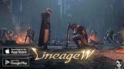 Android 10 (q, api 29). Lineage W Topic Youtube