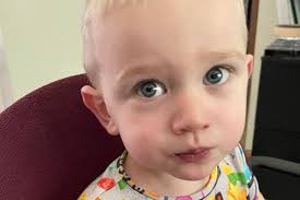 Fundraiser for Abbe Leigh Knudsen by Kelly Jones Ward Forrest : Finn's  Family Support