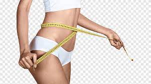 We offer you for free download top of woman body png pictures. Female Body Shape Png Images Pngegg