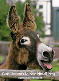 Check spelling or type a new query. Pin On Beautiful Donkeys Mules
