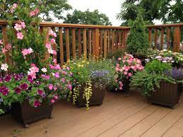 Check spelling or type a new query. Garden Design Garden Design With Barrel Tub Garden Pot Garden Garden Plant Pots Garden Design Front Yard Garden Design