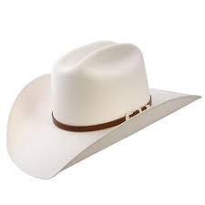 Stetson Straw Hat Maximo Premium Stallion Collection 100x Stetson Straw Hats Stetson Hat Straw Hat