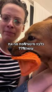‏#כלב #כלביםזההחיים #דיבוב #חיות 🎃🎃🎃🎃🎃
