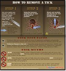 Use a pair of tweezers or a tick removal tool. How To Remove A Tick Tick Removal
