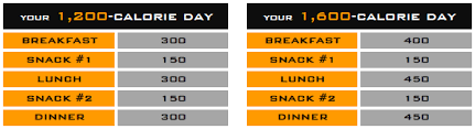 focus t25 nutrition guide