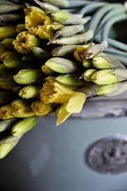 Pin On Anne Sorrells La Maison Antiques And Design