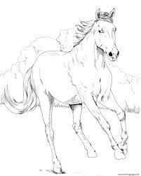 Search through 623,989 free printable colorings at getcolorings. Horse Mustang Mare Coloring Pages Printable