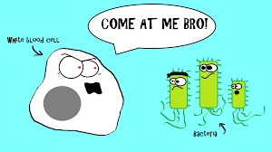 One Of Our Favorite Cartoons From Our Latest Video The Biomolecule Band Http Www Youtube Com Watch V Ij7xoscemzw Human Body Systems Science Humor Biology
