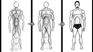 How To Draw A Basic Human Figure Using Circles Only Photoshop Easy Anatomy Drawing Tutorial Human Drawing Human Anatomy Drawing Human Body Drawing