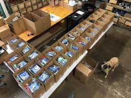 Maybe you would like to learn more about one of these? Max And Neo Donation News Page 9 Max And Neo