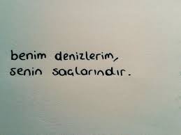 Deniz Saclarin Ozlu Sozler Siir Alintilar