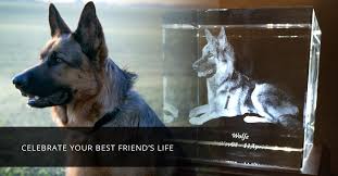A touching pet memorial gift for an owner who had to help their pet say good bye. Personalized Pet Memorial Gifts Pet Memorial Keepsakes