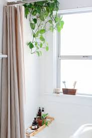 Bathroom Plants21 Idee Deco Salle De Bain Deco Salle De Bain Decoration Salle De Bain