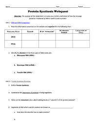 Showing top 8 worksheets in the categor. Protein Synthesis Worksheet Answers Quizlet