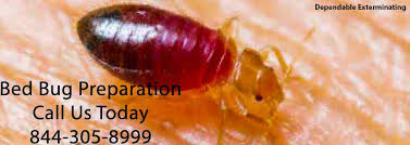 Is the top choice for westchester county pest control & extermination. Bed Bug Pest Control Bed Bug Preparation Steps Bed Bugs