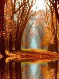 Download Animated 240x320 Rain At Lake Cell Phone Wallpaper Category Nature Nature Gif Nature Photos Nature Pictures You can also upload and share your favorite wallpapers gif. download animated 240x320 rain at lake