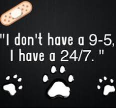 Read on to discover 120 inspirational graduation quotes! 140 You Know You Re A Vet Tech When Ideas Vet Tech Vets Vet Tech Humor