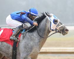 Sports horses futures & props horse racing futures kentucky derby. Kentucky Derby Watch 2021 Top 20 Contenders And Early Odds Lexington Herald Leader