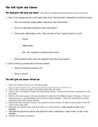 Mitosis lab answer key getting started these questions are designed to see how well you understand and can explain the key concepts how many mitotic cell divisions would it take for one zygote to grow into an organism with 100 trillion cells? Virtual Lab Answers