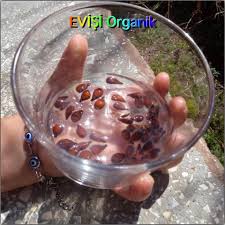 Mutlu Anne Babalar Mutlu Cocuklar Dogal Ilac Dogal Tarif Dogal Saglikli Yasam Tarzi Saglikli Yasam