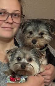 Siblings 3 years old Willow and Wiley